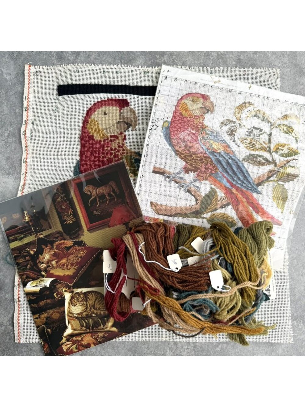Elizabeth Bradley Pete The Parrot Needlepoint Kit Wool & Canvas
